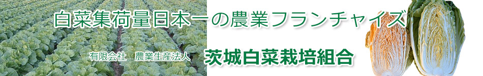 茨城白菜栽培組合